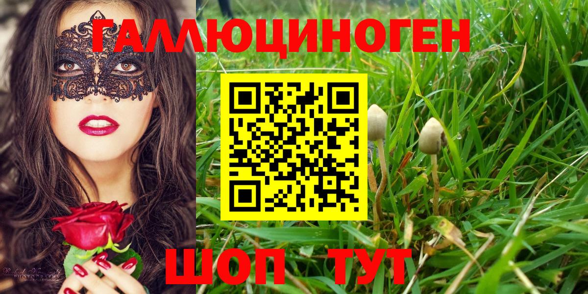 Галлюциногенные грибы Psilocybine cubensis Бахчисарай